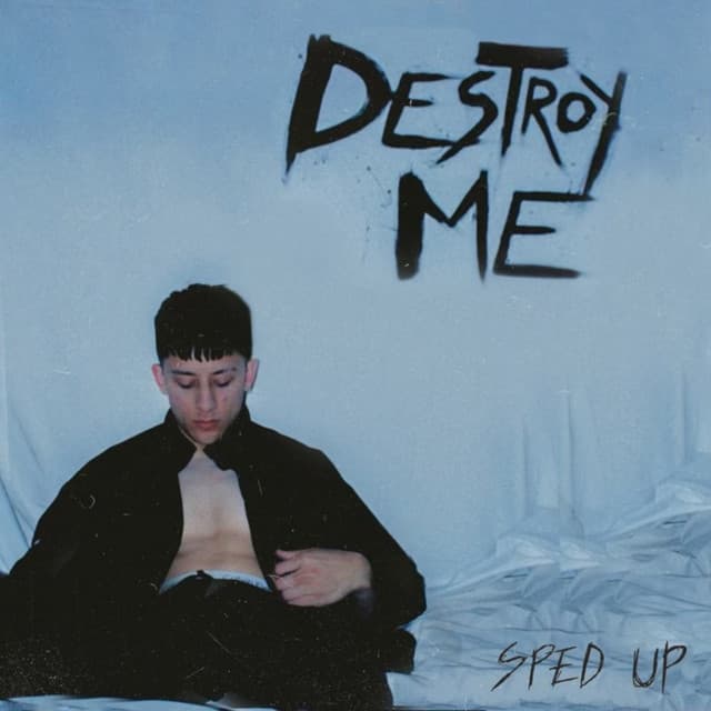 Destroy Me (Sped Up)