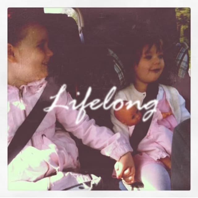 Lifelong_Demo
