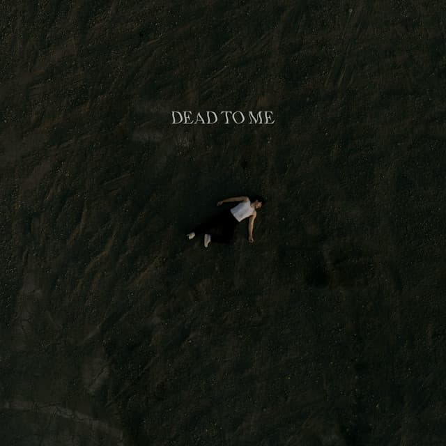 Love Me 'Til You Leave Me