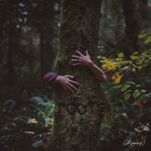 vices - Stripped