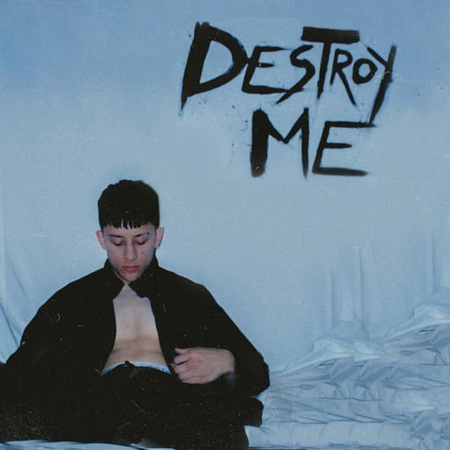Destroy Me